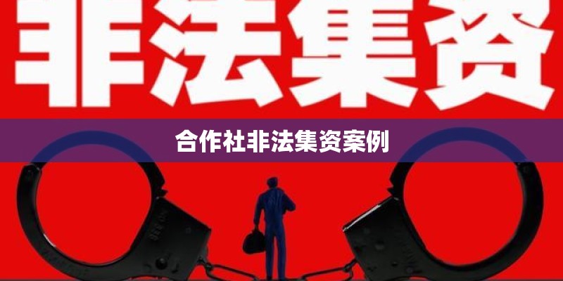 合作社非法集资案例