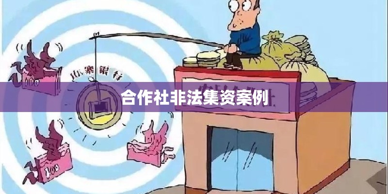 合作社非法集资案例