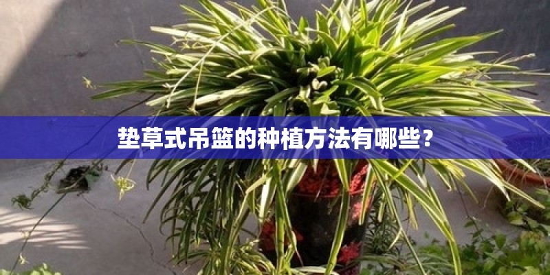 什么叫重茬种植？
