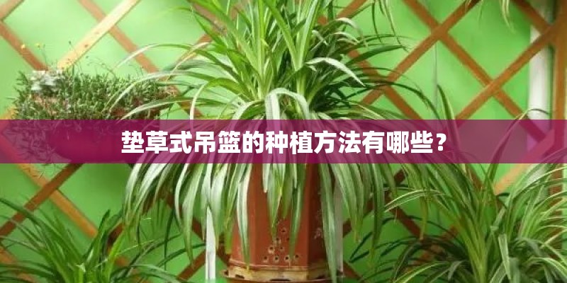 垫草式吊篮的种植方法有哪些？