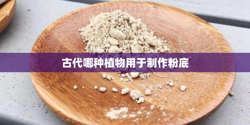 古代哪种植物用于制作粉底