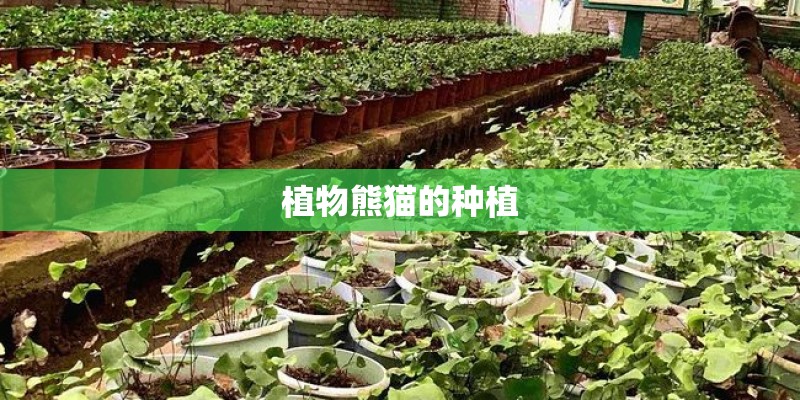 汽车维修机电理论知识题