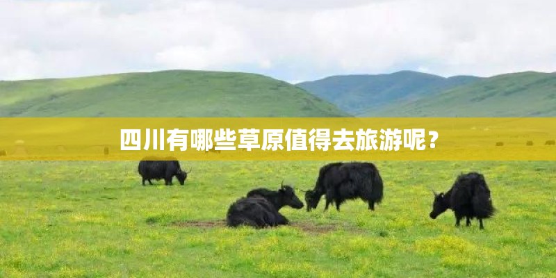 四川有哪些草原值得去旅游呢？