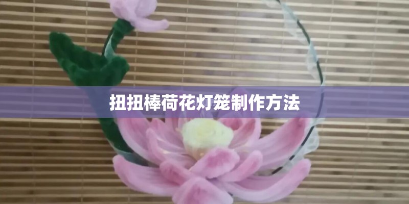扭扭棒荷花灯笼制作方法