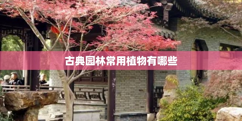 古典园林常用植物有哪些