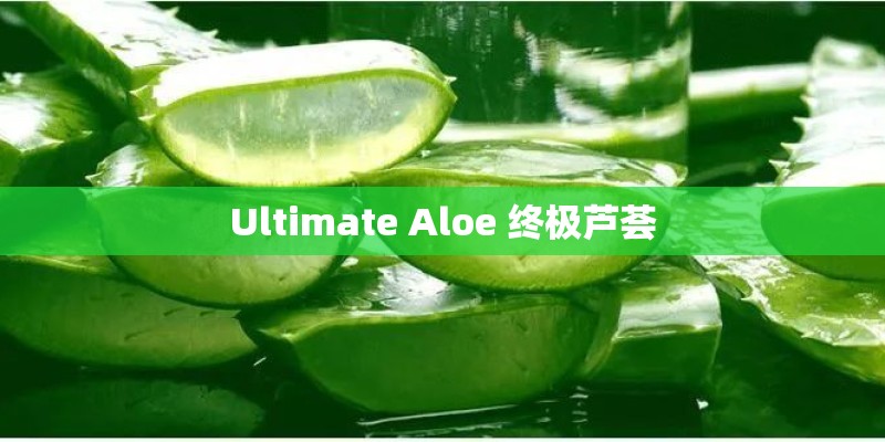 《种蚕豆》中班教案