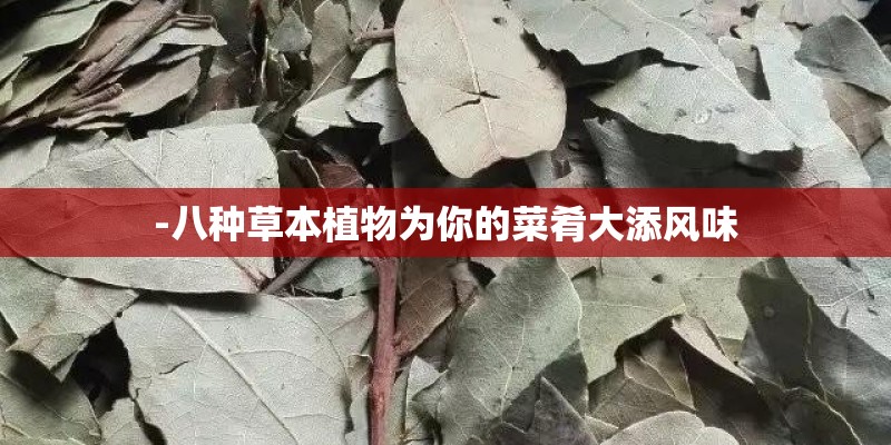 -八种草本植物为你的菜肴大添风味