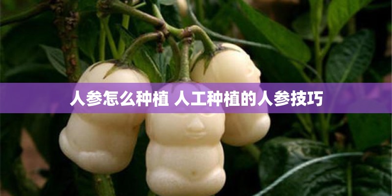 汽车维修机电理论知识题