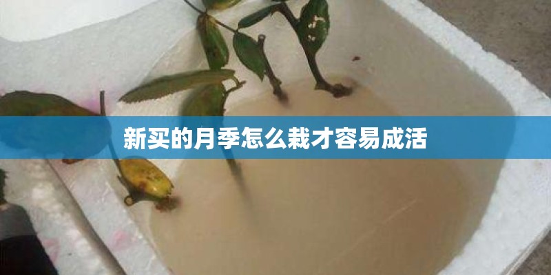 汽车维修机电理论知识题