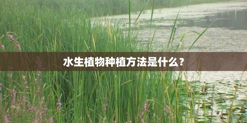 古典园林常用植物有哪些