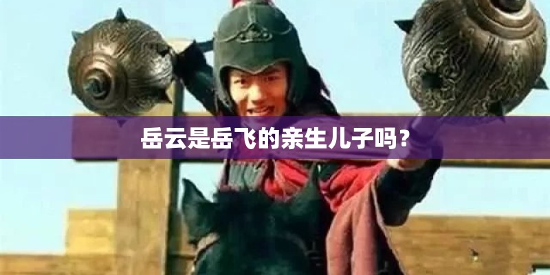 岳云是岳飞的亲生儿子吗？