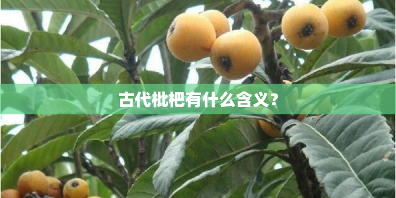 梦见种了好多绿叶的花