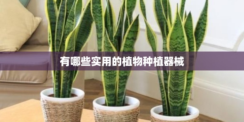 有哪些实用的植物种植器械