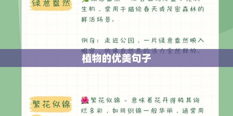 可爱爆炸12种适合养在阳台迷你多肉
