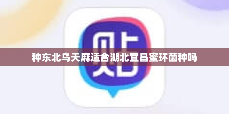 种东北乌天麻适合湖北宜昌蜜环菌种吗 种东北乌天麻适合湖北宜昌蜜环菌种吗