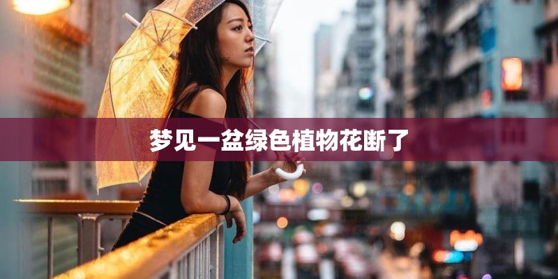 有大棚种植金银花的吗-