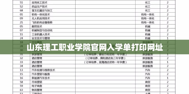 山东理工职业学院官网入学单打印网址 山东理工职业学院官网入学单打印网址