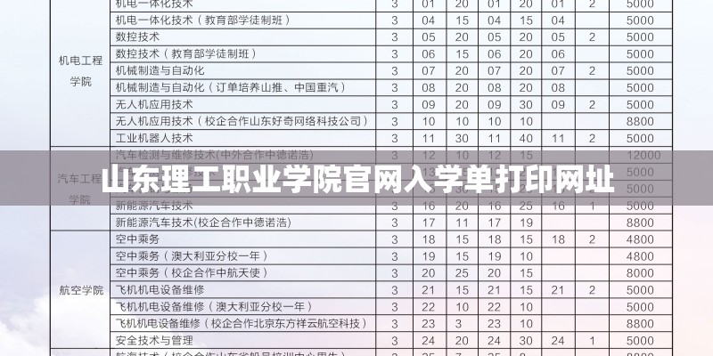 山东理工职业学院官网入学单打印网址 山东理工职业学院官网入学单打印网址