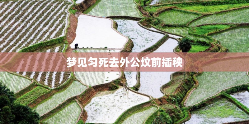梦见匀死去外公坟前插秧