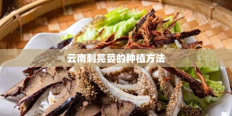 求国内关于生物的期刊杂志？