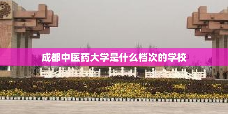 成都中医药大学是什么档次的学校
